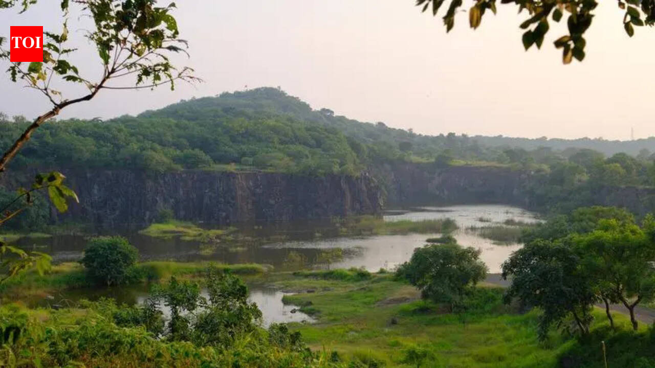 4-5 मिनिटे वाचवण्यासाठी प्रस्तावित रस्त्यामुळे वेताळ टेकडीला धोका निर्माण झाला आहे
